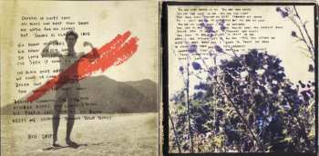 CD Jamie Lidell: Compass