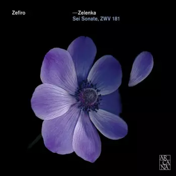 Jan Dismas Zelenka: Sei Sonate