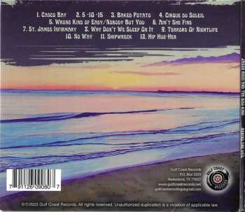 CD Jason Ricci & The Bad Kind: Behind the veil