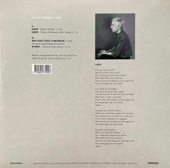 LP Jay-Jay Johanson: Amen