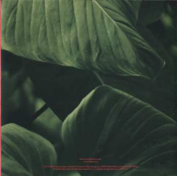 CD Jazzmeia Horn: Love And Liberation