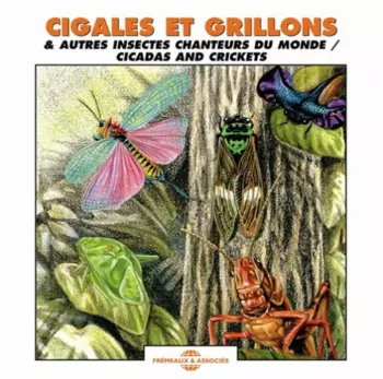 Jean C. Roché: Cigales Et Grillons / Cicadas And Crickets