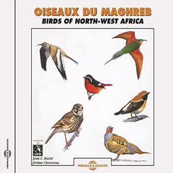 Album Jean C. Roché: Oiseaux Du Maghreb - Birds Of North-West Africa