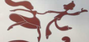 2LP Jean-Jacques Goldman: Chansons Pour Les Pieds CLR | LTD