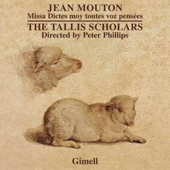 Album The Tallis Scholars: Missa Dictes Moy Toutes Voz Pensées