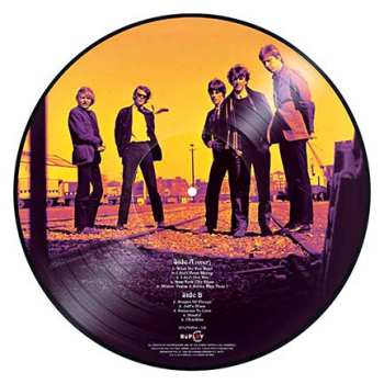 LP The Yardbirds: I Ain't Done No Wrong PIC | NUM | LTD