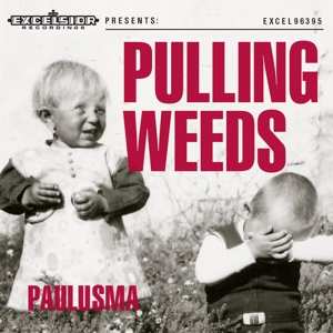 CD Jelle Paulusma: Pulling Weeds