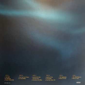 3LP/Dobozkészlet Jennifer Warnes: The Well LTD