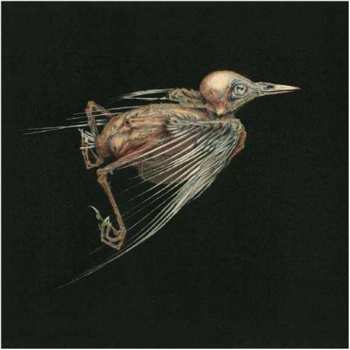 Album Jenny Hval: Meshes Of Voice