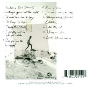 CD Jesse Harris: No Wrong No Right
