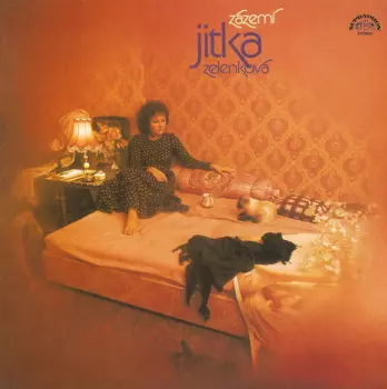 Jitka Zelenková: Zázemí