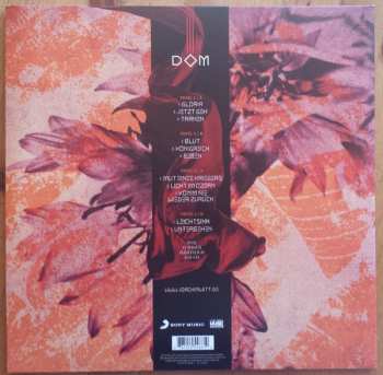 2LP/CD Joachim Witt: Dom