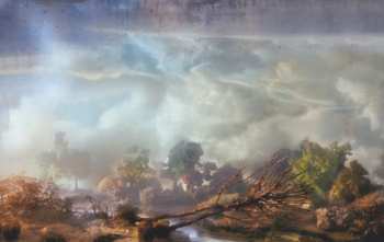 2LP Joanna Newsom: Divers