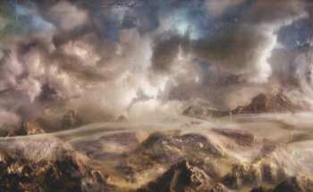 2LP Joanna Newsom: Divers