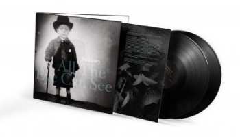 2LP Joe Henry: All The Eye Can See