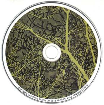 CD Joe Morris: Abstract Forest LTD