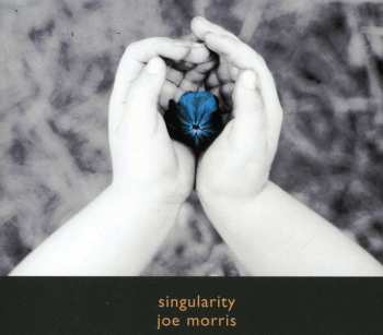 Album Joe Morris: Singularity