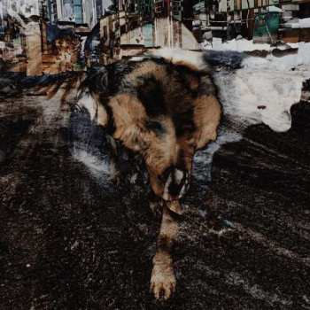 Album Joe Volk: Primitive Energetics