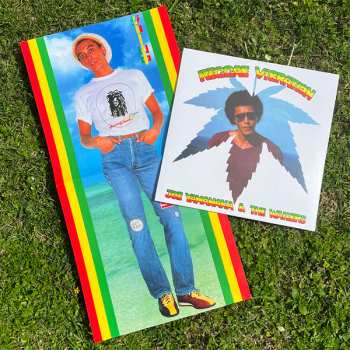 LP The Wailers: Reggae Vibration