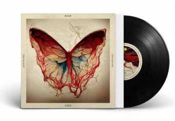 SP Joep Beving: POST