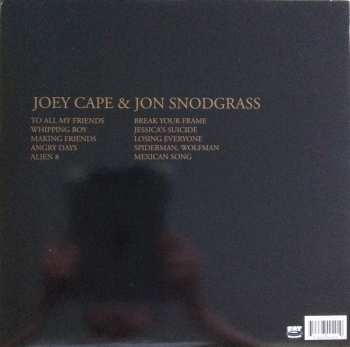 LP Joey Cape: Liverbirds