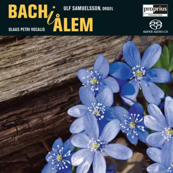 Bach I Ålem
