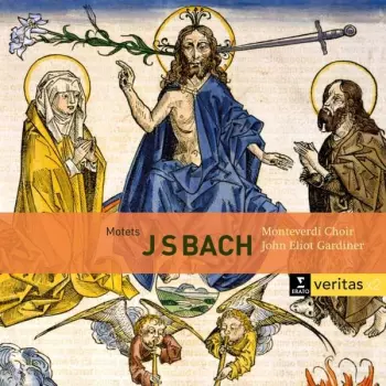 Die Motetten Bwv 225-231 - Bwv 50 & 118