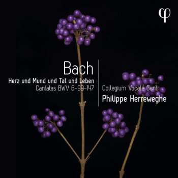 Album Johann Sebastian Bach: Kantaten Bwv 6,99,147