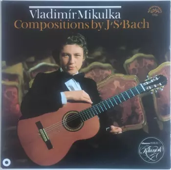 Johann Sebastian Bach: Kytara