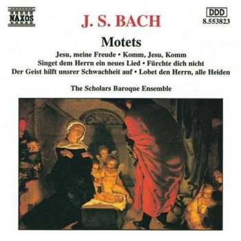 CD Johann Sebastian Bach: Motets