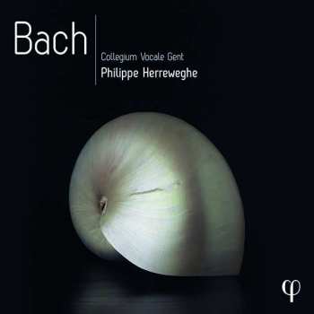 10CD/Dobozkészlet Johann Sebastian Bach: Bach