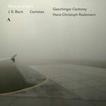 Album Johann Sebastian Bach: Stay, Ye Angels (Cantatas)