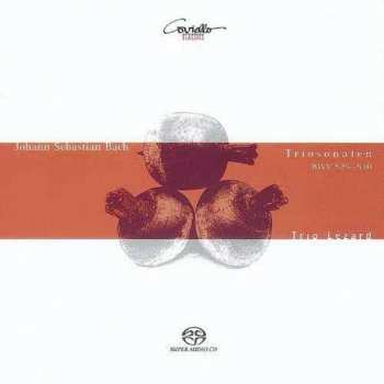 Album Johann Sebastian Bach: Triosonaten (BWV 525-530)