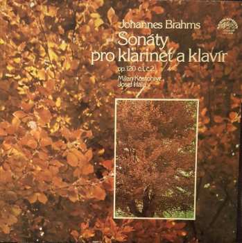 Album Josef Hála: Sonáty Pro Klarinet A Klavír, Op. 120