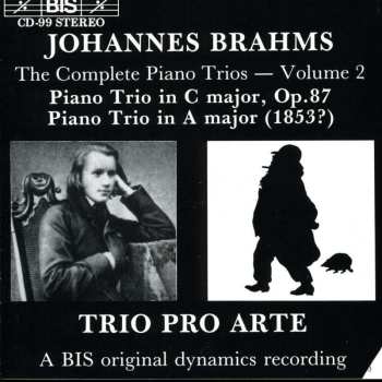 Album Johannes Brahms: Piano Trios Opp. 87 & 114