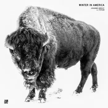 Winter In America 