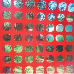 Album John Dwyer: Endless Garbage