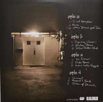 2LP John Grant: Queen Of Denmark