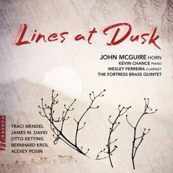 Album John McGuire: Lines At Dusk
