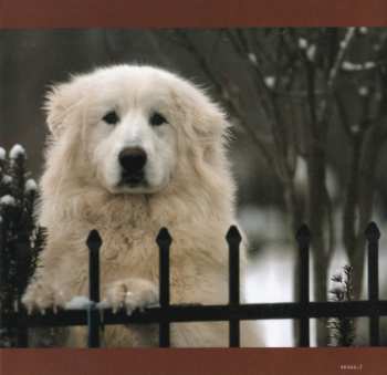 CD John Michael Montgomery: Mr. Snowman