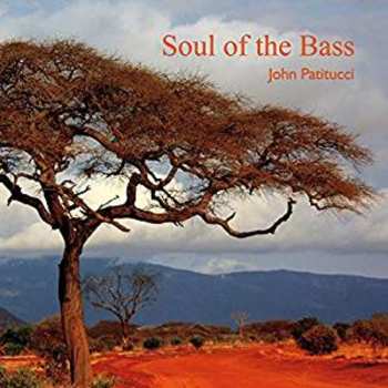 Album John Patitucci: Soul Of The Bass