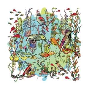 Album John Zorn: The Gentle Side