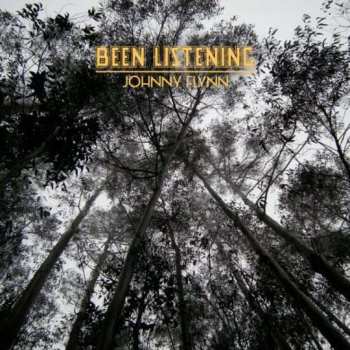 Album Johnny Flynn: Been Listening