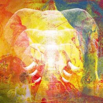 Album Join The Din: Elephants In Autumn Rage