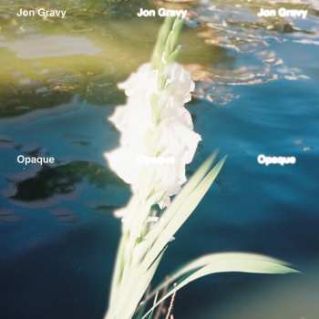 Album Jon Gravy: Opaque