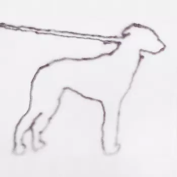 Jonah Yano: Portrait Of A Dog