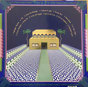 2LP Jonathan Wilson: Rare Birds