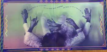 2LP Jonathan Wilson: Rare Birds
