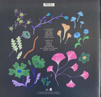 LP José González: Local Valley