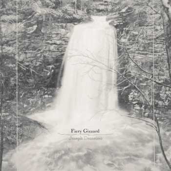 Album Joseph Decosimo: Fiery Gizzard